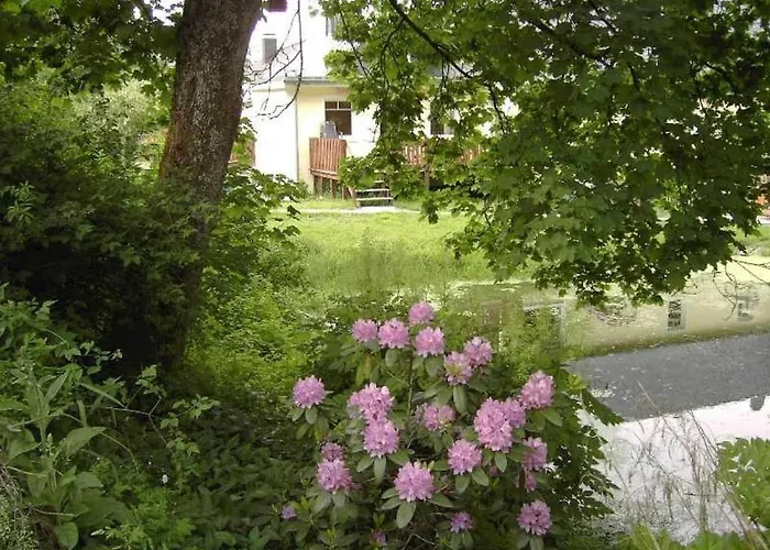 1 In The Weidenhaeuser Mill Dom wakacyjny *